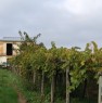 foto 3 - Giuliano Teatino terreno con casa rustica a Chieti in Vendita
