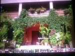 Annuncio vendita Rieti villa con giardino