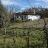 foto 12 - Urbino terreno con casa a Pesaro e Urbino in Vendita