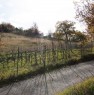 foto 9 - Urbino terreno con casa a Pesaro e Urbino in Vendita