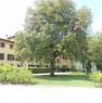 foto 0 - Montelupo Fiorentino appartamento in villa a Firenze in Vendita