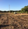 foto 2 - Oria suolo agricolo a Brindisi in Vendita