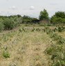 foto 3 - Grosseto terreno agricolo a Grosseto in Vendita