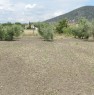 foto 2 - Grosseto terreno agricolo a Grosseto in Vendita