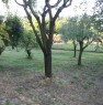 foto 4 - Chiaravalle terreno agricolo provvisto di capanno a Ancona in Vendita
