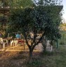 foto 3 - Chiaravalle terreno agricolo provvisto di capanno a Ancona in Vendita