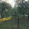 foto 0 - Chiaravalle terreno agricolo provvisto di capanno a Ancona in Vendita