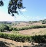 foto 1 - Asciano villa a schiera panoramica a Siena in Affitto