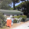 foto 4 - Marina di Massa casa vacanze a Massa-Carrara in Affitto