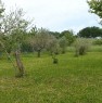 foto 0 - Pesaro terreno con adiacente lago a Pesaro e Urbino in Vendita