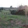 foto 4 - Terreno zona Trappeto contrada Cicala a Palermo in Vendita