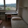 foto 2 - Urbino stanze singole o doppia per studenti a Pesaro e Urbino in Affitto
