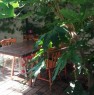 foto 1 - Pescara monolocale arredato con giardino a Pescara in Affitto