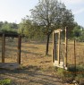 foto 5 - Monterotondo terreno agricolo recintato a Roma in Vendita