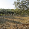 foto 4 - Monterotondo terreno agricolo recintato a Roma in Vendita