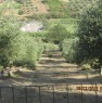foto 2 - Monterotondo terreno agricolo recintato a Roma in Vendita