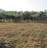 foto 0 - Monterotondo terreno agricolo recintato a Roma in Vendita