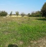 foto 0 - Russi terreno adibito ad orto a Ravenna in Vendita