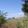 foto 5 - Urbino complesso con terreni a Pesaro e Urbino in Vendita