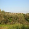 foto 4 - Calvi dell'Umbria terreno edificabile a Terni in Vendita