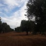 foto 7 - Brindisi terreno agricolo a Brindisi in Vendita