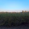 foto 1 - A Nurra di Alghero terreno agricolo a Sassari in Vendita