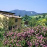 foto 10 - Salsomaggiore Terme localit Contignaco casa a Parma in Vendita