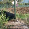 foto 7 - Pietramelara terreno agricolo edificabile a Caserta in Vendita
