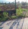 foto 5 - Pietramelara terreno agricolo edificabile a Caserta in Vendita