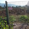 foto 4 - Pietramelara terreno agricolo edificabile a Caserta in Vendita