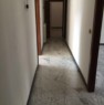 foto 2 - Serravalle Scrivia ampio appartamento mansardato a Alessandria in Affitto