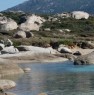 foto 5 - In Corsica fra isola Rossa e Calvi appartamento a La Spezia in Vendita