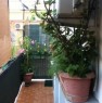 foto 3 - Flat for rent in Prati a Roma in Affitto