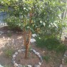 foto 13 - Pietra Ligure ampio bilocale con giardino a Savona in Vendita