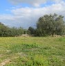 foto 2 - Lizzanello nel cuore del Salento terreno agricolo a Lecce in Vendita