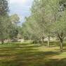 foto 0 - Lizzanello nel cuore del Salento terreno agricolo a Lecce in Vendita