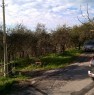 foto 5 - Massarosa terreno edificabile in zona collinare a Lucca in Vendita