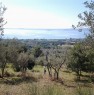 foto 3 - Lago di Bolsena terreno localit Pantanesca a Viterbo in Vendita