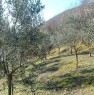 foto 3 - Botticino terreno agricolo a Brescia in Vendita