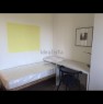 foto 2 - Dalmine a studenti camera doppia a Bergamo in Affitto