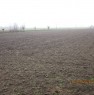 foto 1 - Fratta Polesine terreno agricolo a Rovigo in Vendita