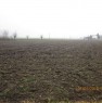 foto 0 - Fratta Polesine terreno agricolo a Rovigo in Vendita