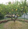 foto 2 - Pietra Ligure trilocale con giardino e box auto a Savona in Vendita