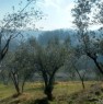 foto 3 - Arpino terreno panoramico a Frosinone in Vendita