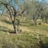 foto 1 - Arpino terreno panoramico a Frosinone in Vendita