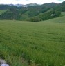 foto 6 - Sarsina ampio casolare rustico con terreno a Forli-Cesena in Vendita