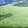 foto 4 - Sarsina ampio casolare rustico con terreno a Forli-Cesena in Vendita