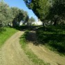foto 1 - Palermo terreno coltivato a uliveti con casa a Palermo in Vendita