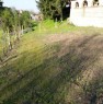 foto 4 - Strevi terreno agricolo con piccolo cascinotto a Alessandria in Vendita