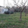 foto 1 - Sannicandro di Bari appezzamento terreno recintato a Bari in Vendita